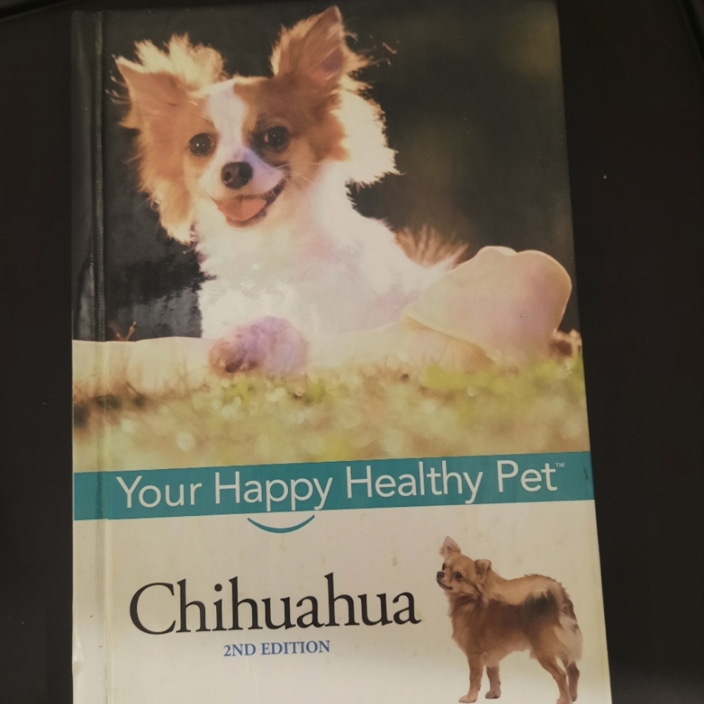 A hard back book book about Chihuahua's in great shape.